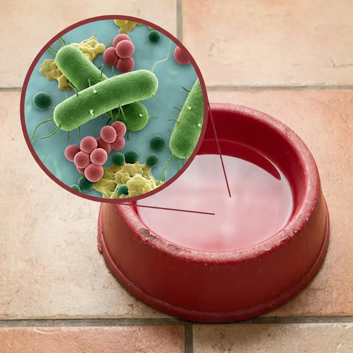 Dirty water bowl example